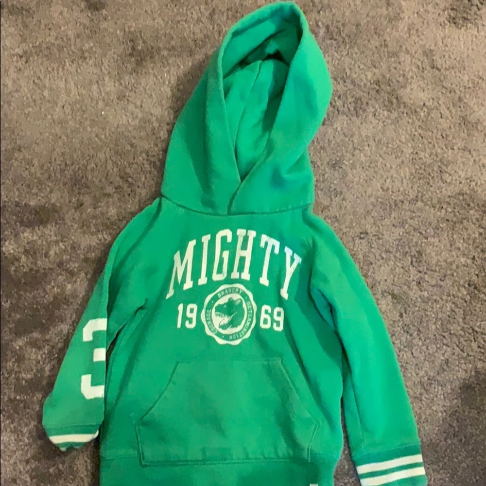 3T Gap hoodie